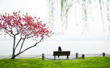 长的的造句
