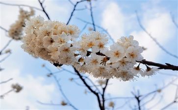 公园的造句