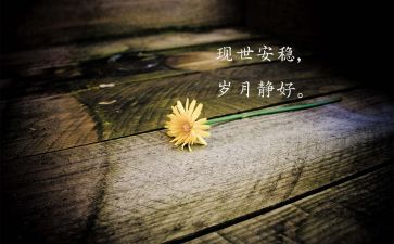 是我们的的造句