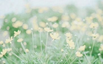 正的造句