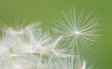 填的造句
